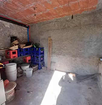Foto annuncio 21