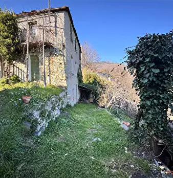Foto annuncio 1