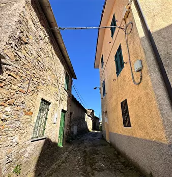 Foto annuncio 21