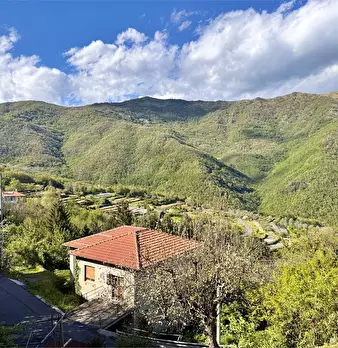 Foto annuncio 18