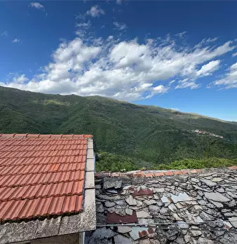 Foto annuncio 17