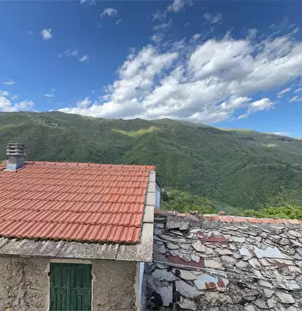 Foto annuncio 16