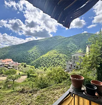 Foto annuncio 1