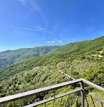 Foto annuncio 6