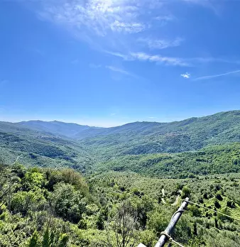 Foto annuncio 4