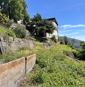 Foto annuncio 35