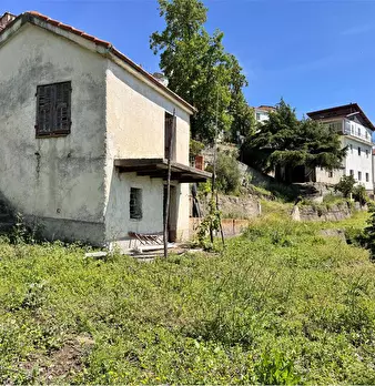 Foto annuncio 34