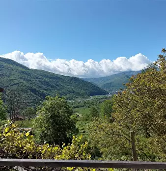 Foto annuncio 11