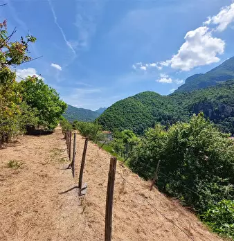 Foto annuncio 20