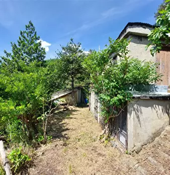 Foto annuncio 5