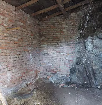 Foto annuncio 12