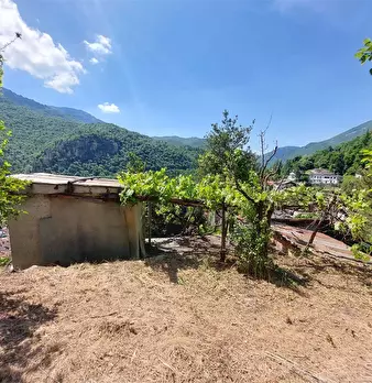 Foto annuncio 19