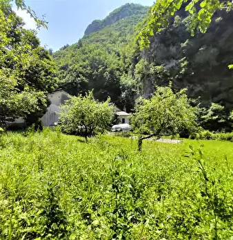 Foto annuncio 113