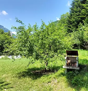 Foto annuncio 111