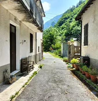 Foto annuncio 52