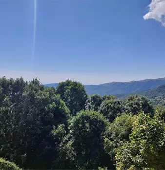 Foto annuncio 8