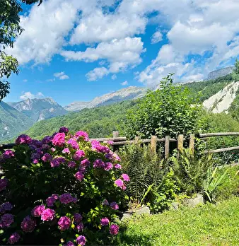 Foto annuncio 1