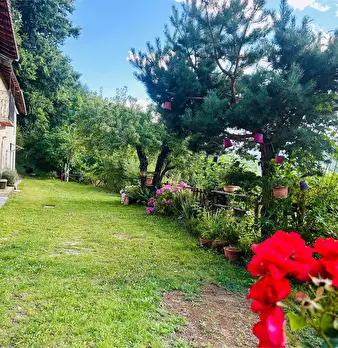 Foto annuncio 4