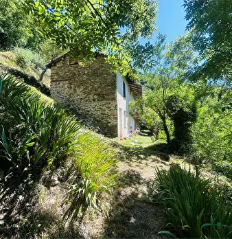 Foto annuncio 2