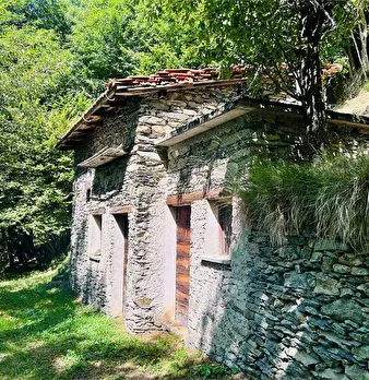 Foto annuncio 19