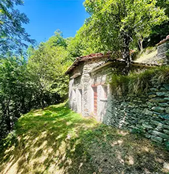 Foto annuncio 20