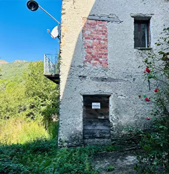 Foto annuncio 3