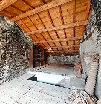 Foto annuncio 11