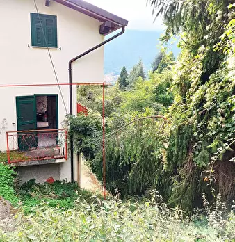 Foto annuncio 30