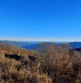 Foto annuncio 6