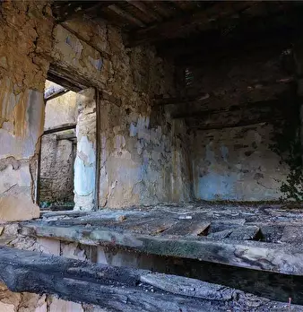 Foto annuncio 7