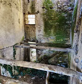 Foto annuncio 6