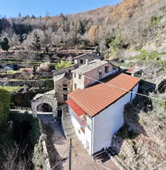 Foto annuncio 45