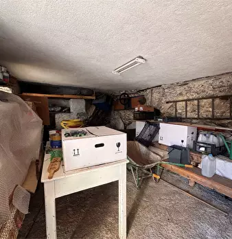 Foto annuncio 44