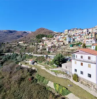 Foto annuncio 41