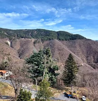Foto annuncio 26