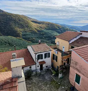 Foto annuncio 40