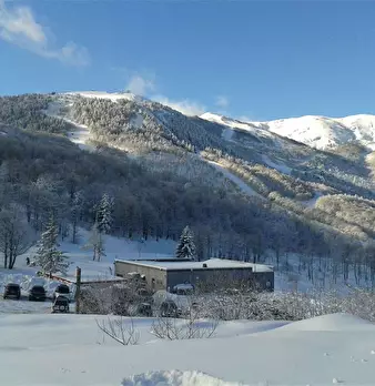 Foto annuncio 15