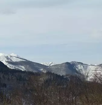 Foto annuncio 18