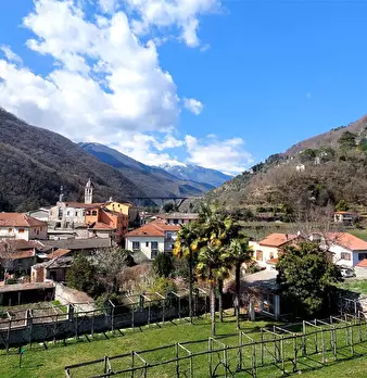 Foto annuncio 17