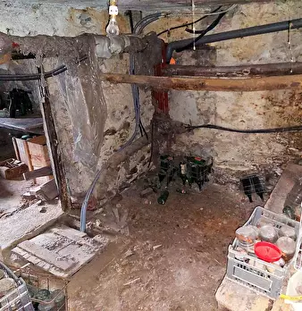 Foto annuncio 24