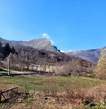 Foto annuncio 19