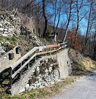 Foto annuncio 39