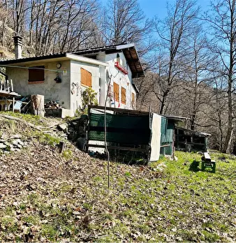 Foto annuncio 2