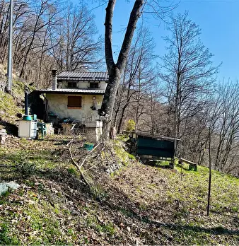 Foto annuncio 1