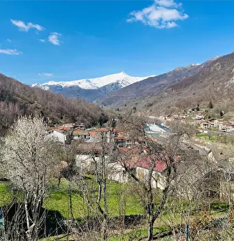 Foto annuncio 6