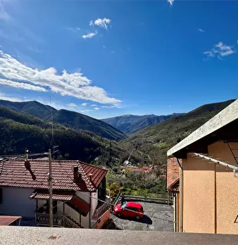 Foto annuncio 12