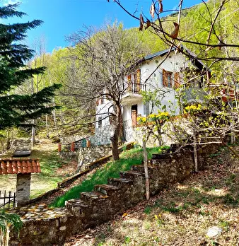 Foto annuncio 1