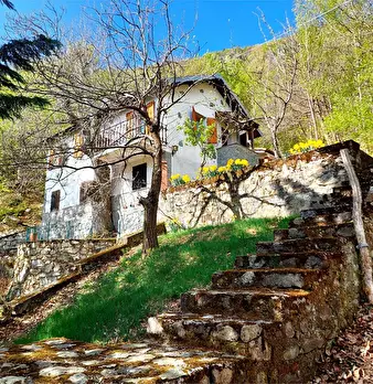 Foto annuncio 2