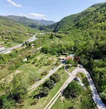 Foto annuncio 54