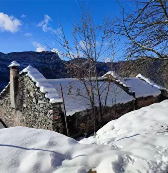 Foto annuncio 22